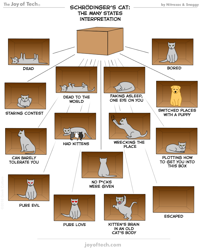 Schrödinger's cat, the many states interpretation!